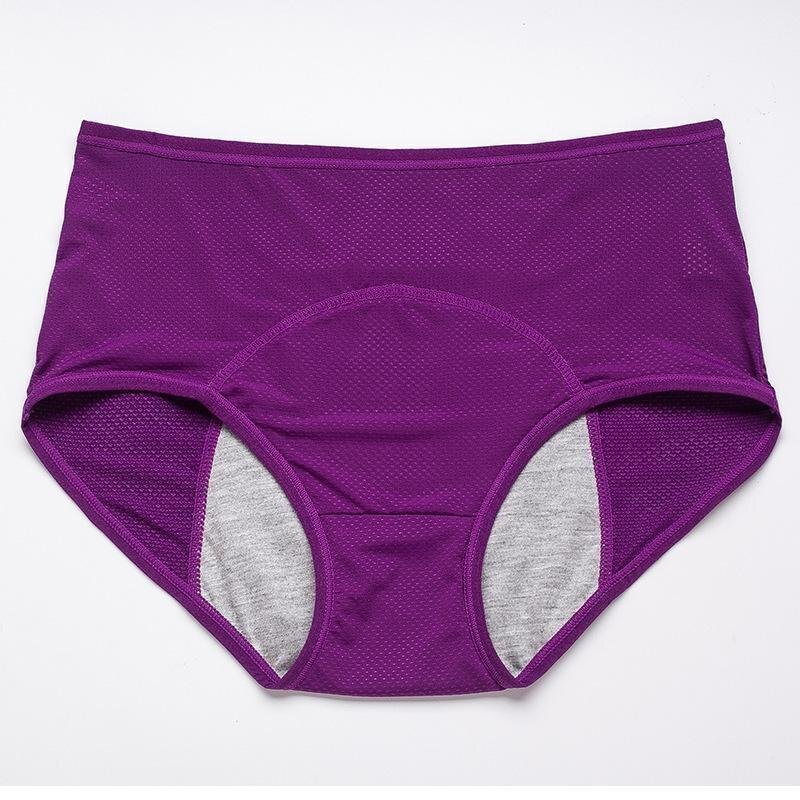 🔥Early Christmas Sale🔥New Upgrade High Waist Leak Proof Panties