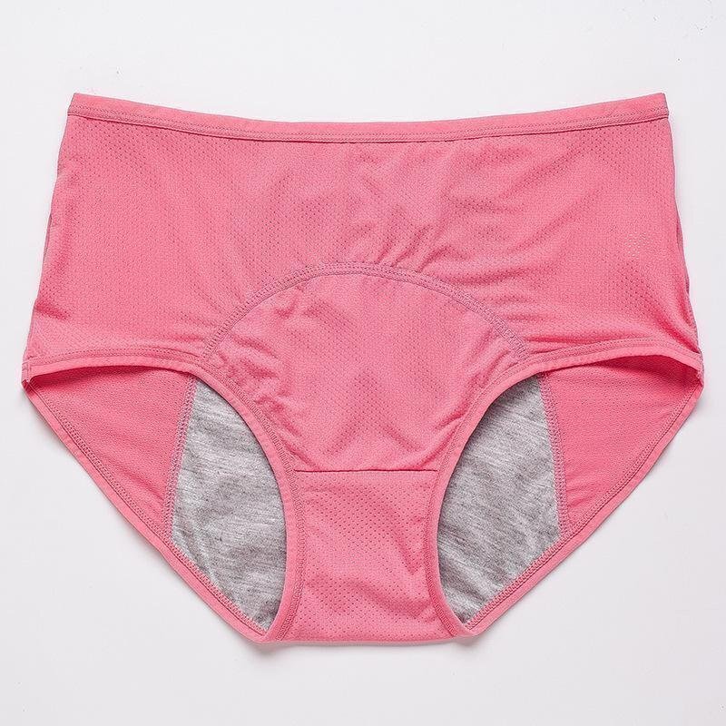 🔥Early Christmas Sale🔥New Upgrade High Waist Leak Proof Panties