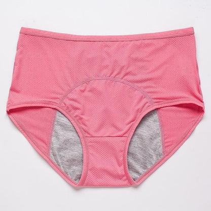 🔥Early Christmas Sale🔥New Upgrade High Waist Leak Proof Panties